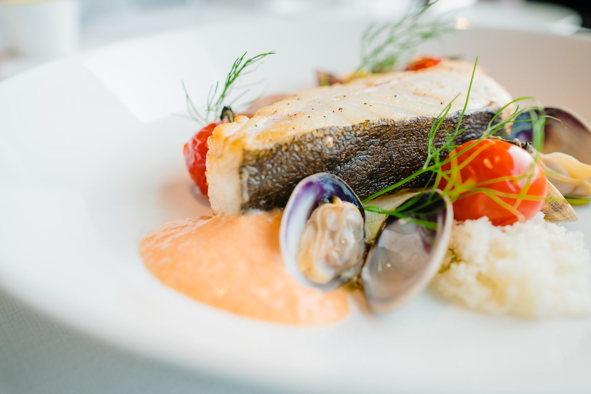 resta marina oostende gault millau foodfotografie bedrijfsfotografie 13